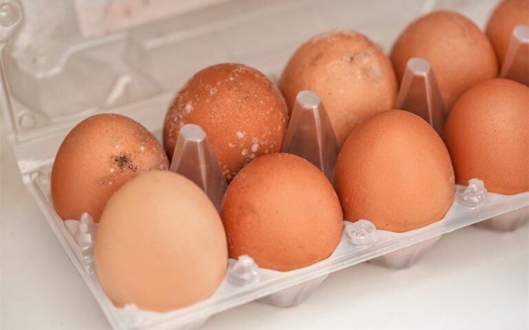 how to tell if an egg is bad